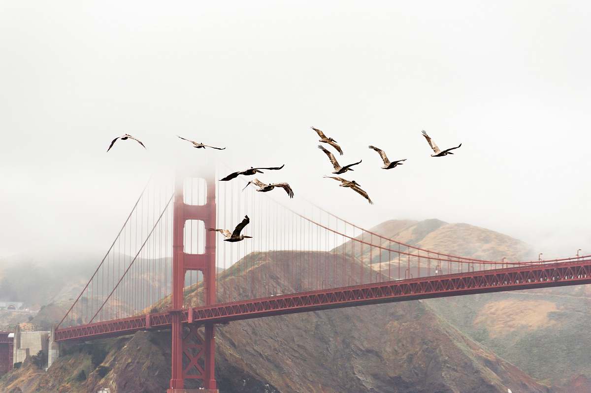 golden gate bridge bridge near mountain san francisco